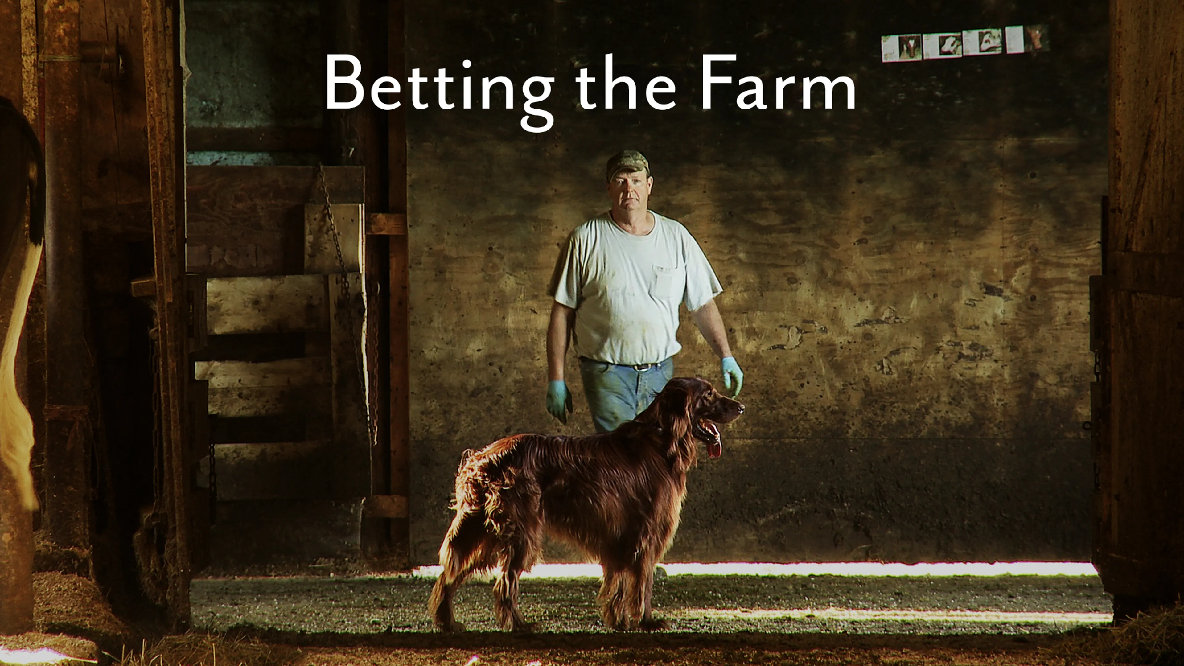 Betting the Farm poster